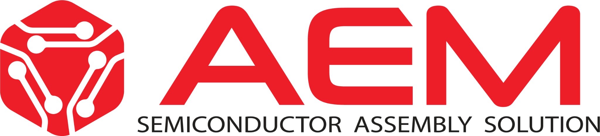 AEM Logo